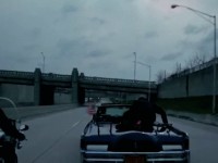 download gifs Jackie 2017