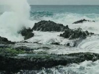 download gifs download